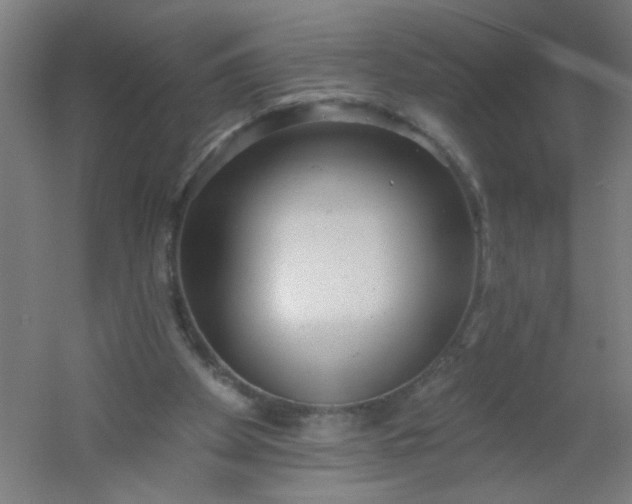 X0000054360105200508121524