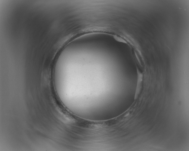 X0000054360107200508121524