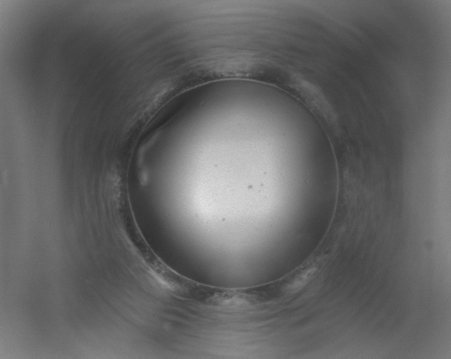 X0000054360113200508121524