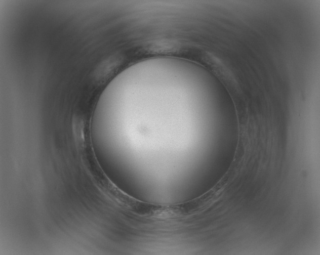 X0000054360115200508121524