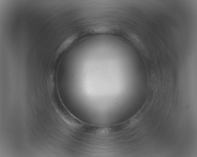 X0000054360116200508121524
