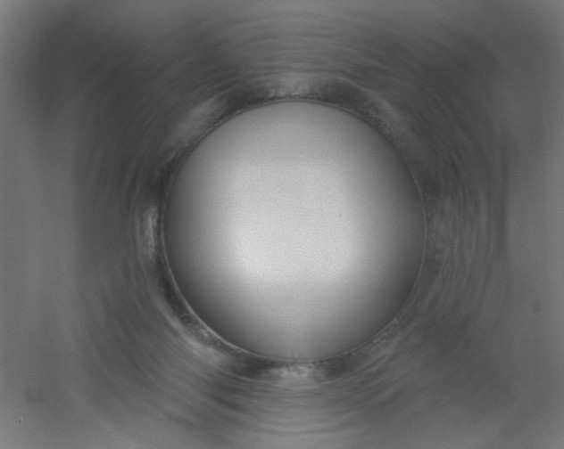 X0000054360118200508121524