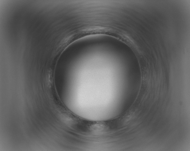 X0000054360119200508121524
