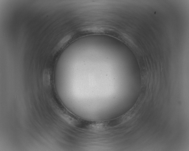 X0000054360120200508121524