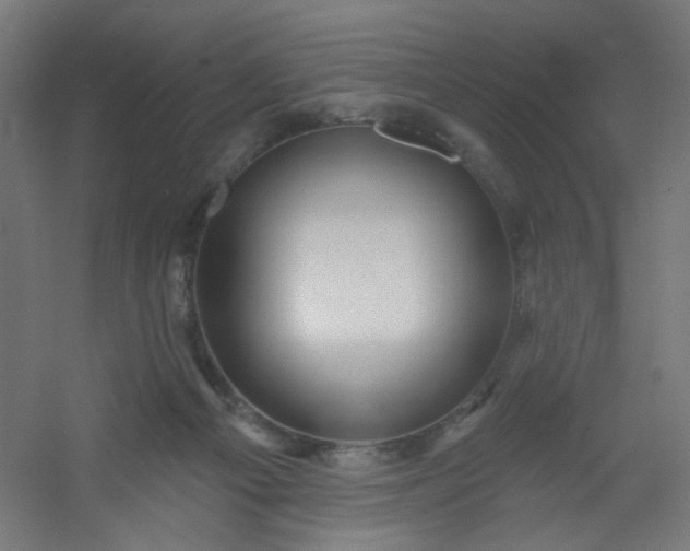 X0000054360121200508121524