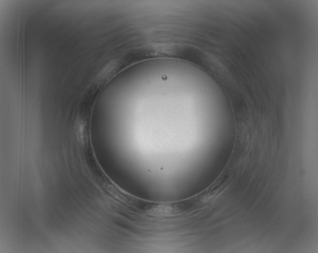 X0000054360123200508121524