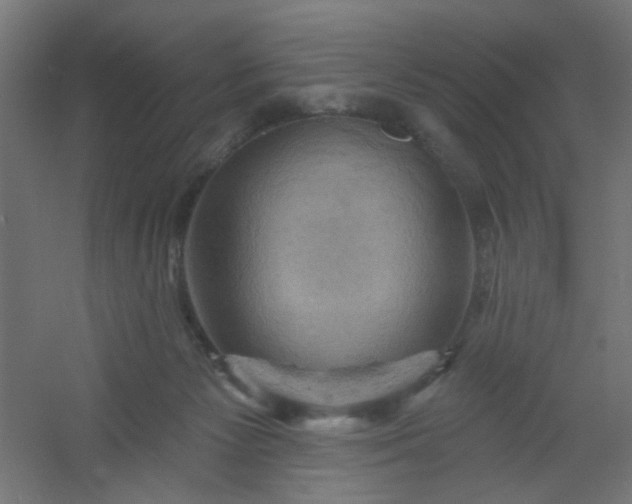 X0000054360125200508121524
