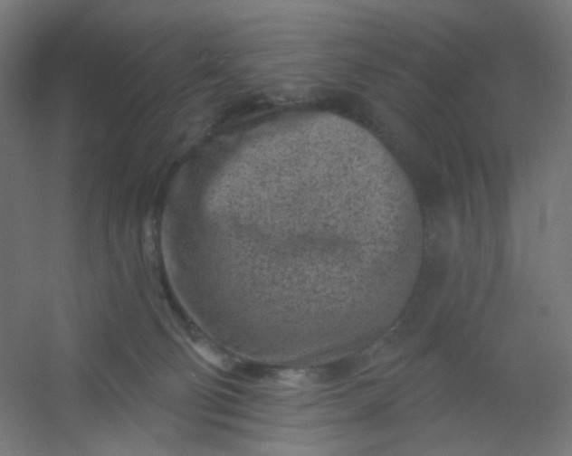 X0000054360130200508121524