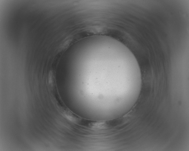X0000054360132200508121524