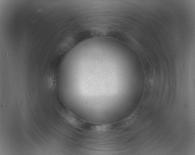 X0000054360134200508121524