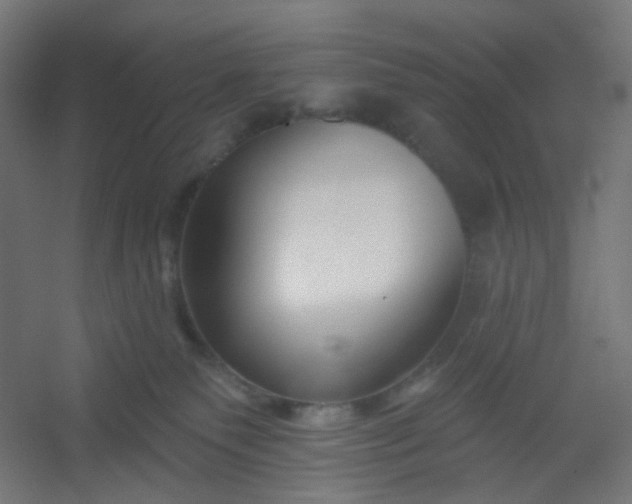 X0000054360135200508121524
