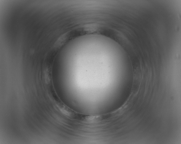 X0000054360136200508121524