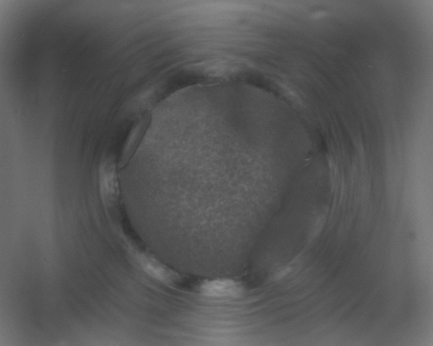 X0000054360137200508121524