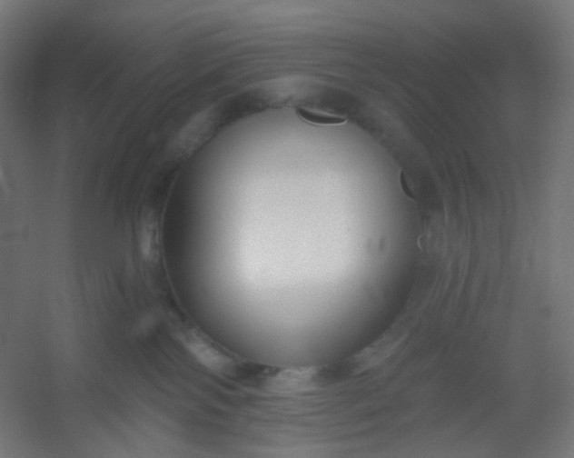 X0000054360138200508121524