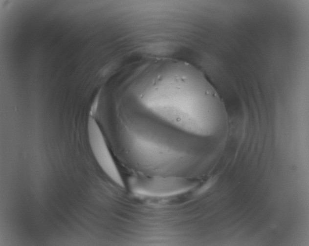 X0000054360143200508121524