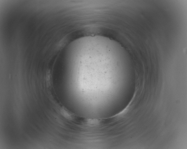 X0000054360144200508121524