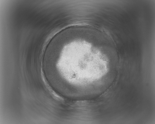 X0000054360145200508121523