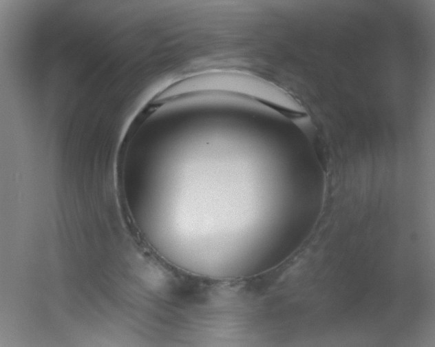 X0000054360148200508121523