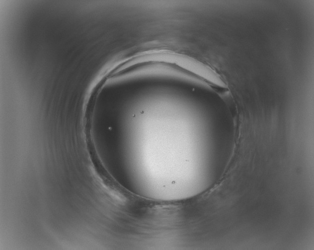 X0000054360150200508121523