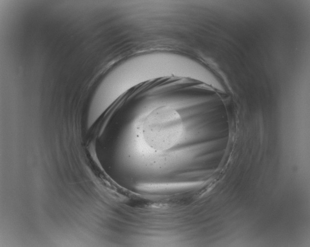 X0000054360154200508121523