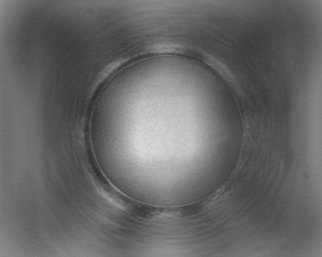 X0000054360155200508121523