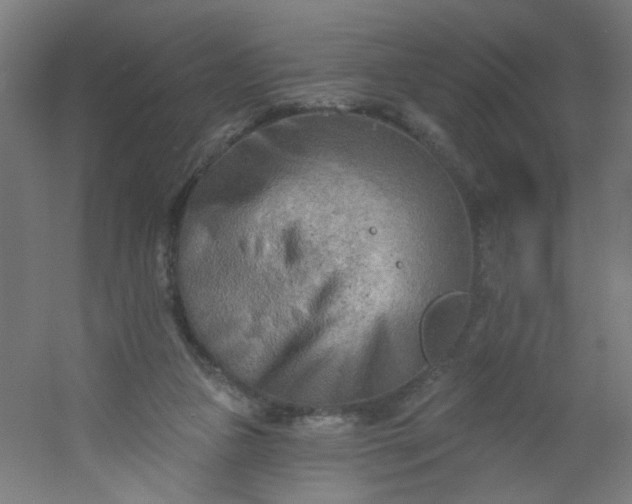 X0000054360161200508121523