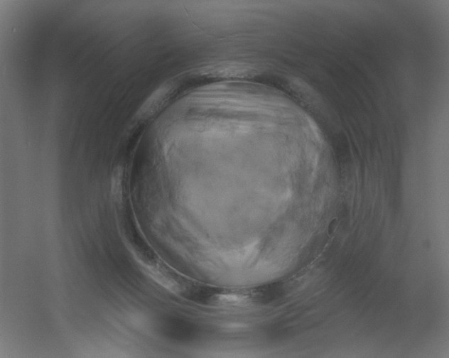 X0000054360167200508121523