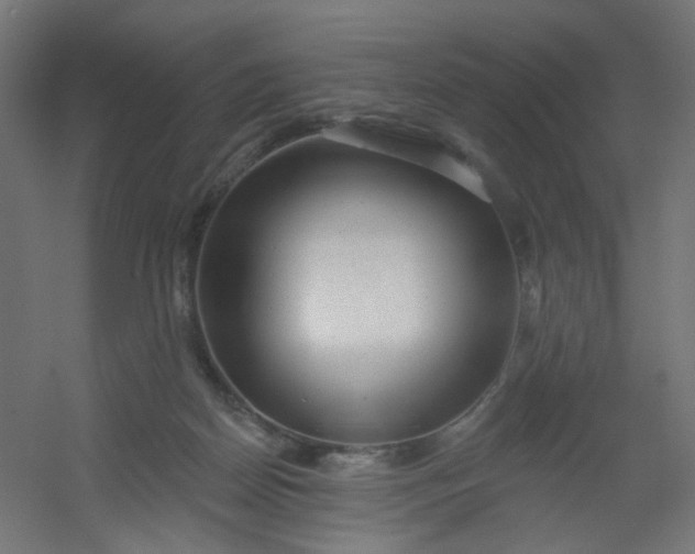 X0000054360170200508121523