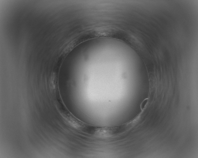 X0000054360174200508121523