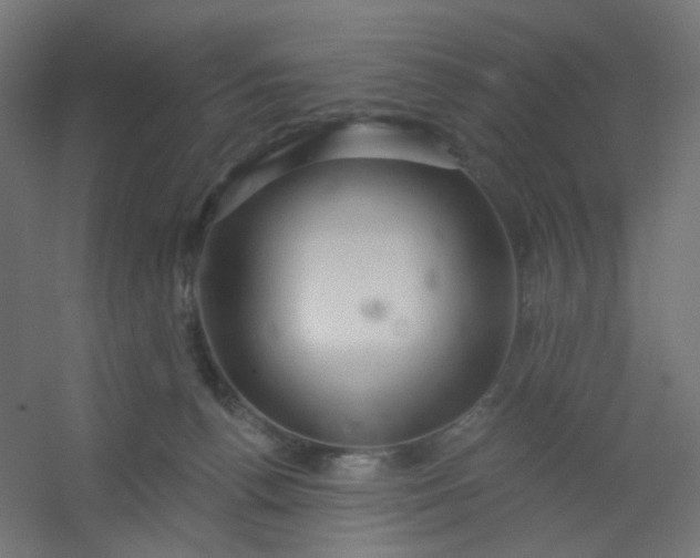 X0000054360176200508121523