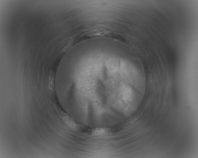 X0000054360177200508121523
