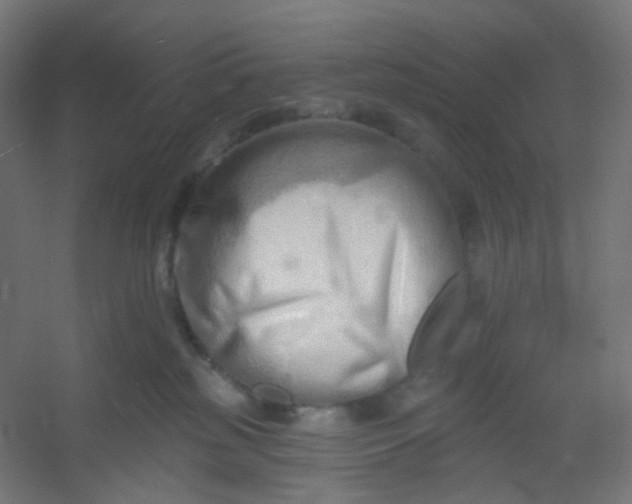 X0000054360185200508121523