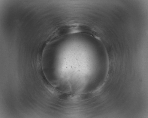 X0000054360186200508121524