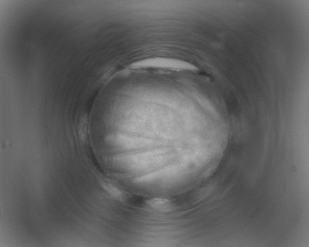X0000054360189200508121524