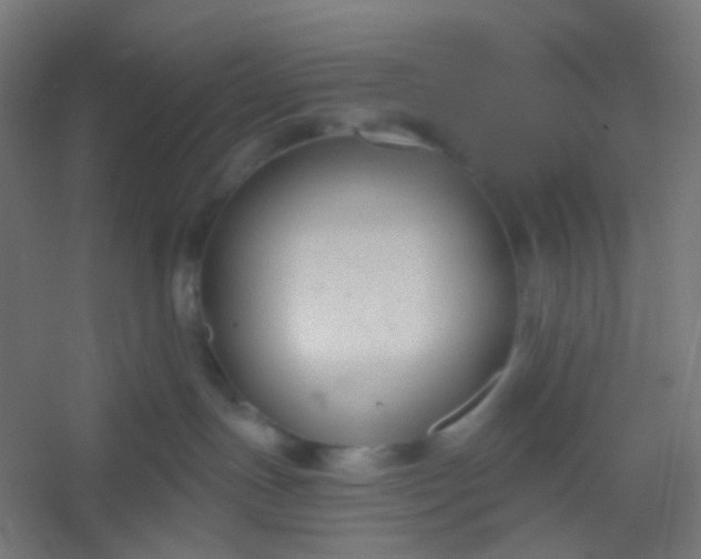 X0000054360191200508121524