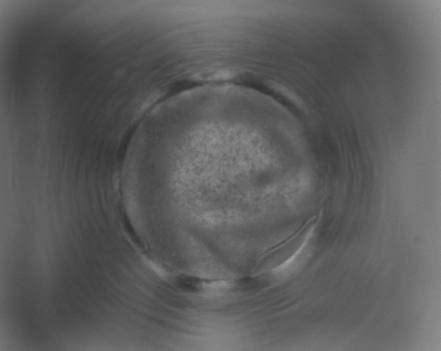 X0000054360192200508121524