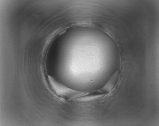 X0000054360193200508121523
