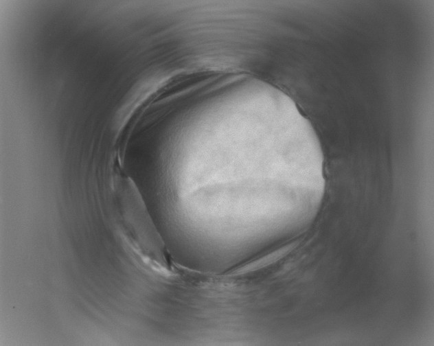 X0000054360194200508121523
