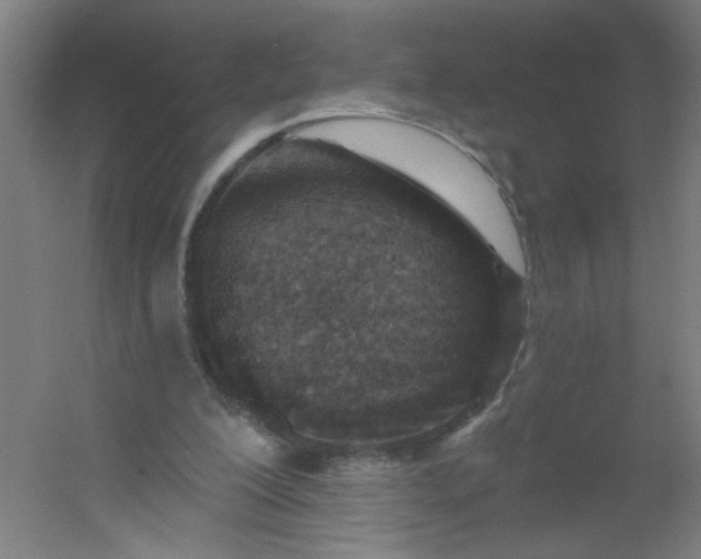 X0000054360200200508121523