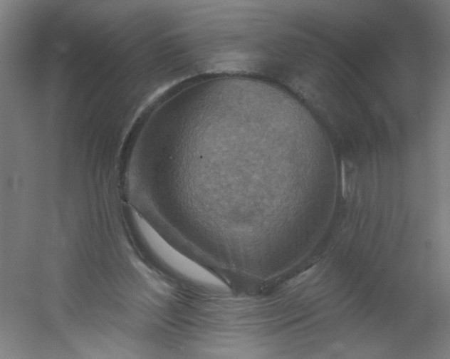 X0000054360204200508121523