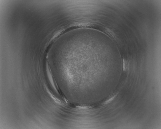 X0000054360205200508121523