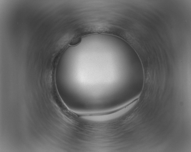 X0000054360206200508121523