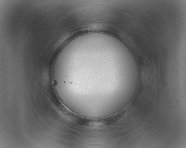 X0000054360208200508121523