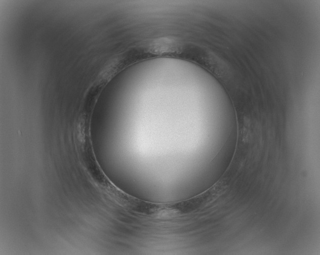 X0000054360210200508121523