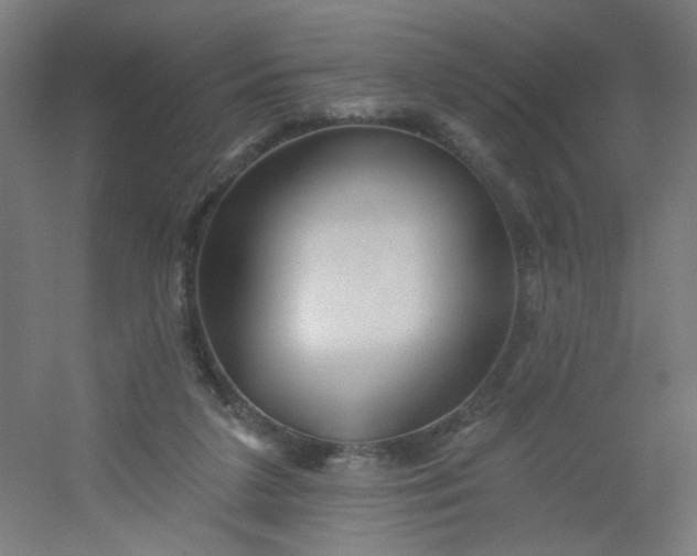X0000054360211200508121522