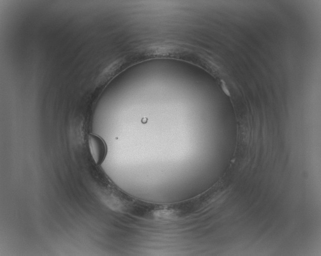 X0000054360216200508121522