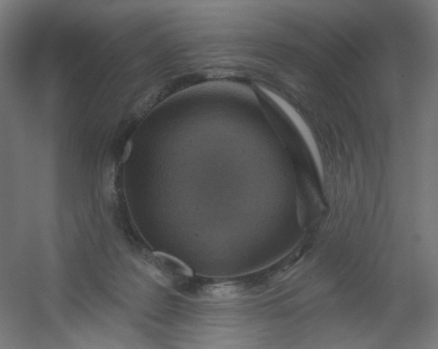 X0000054360219200508121522
