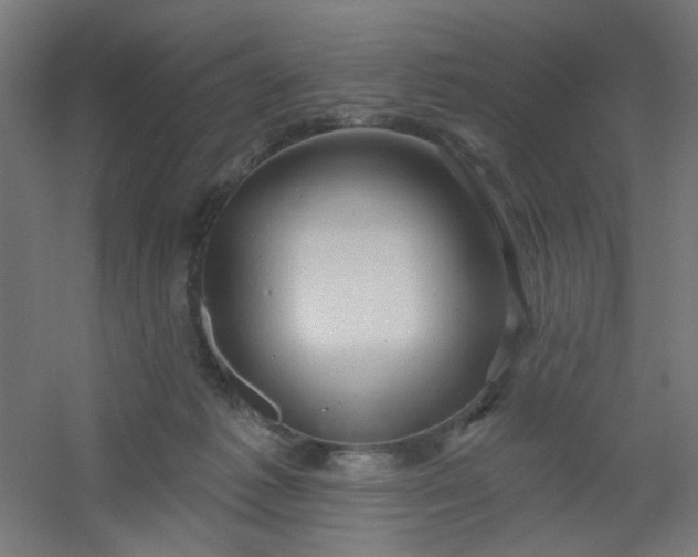 X0000054360221200508121522