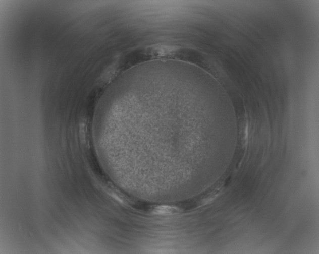 X0000054360222200508121522