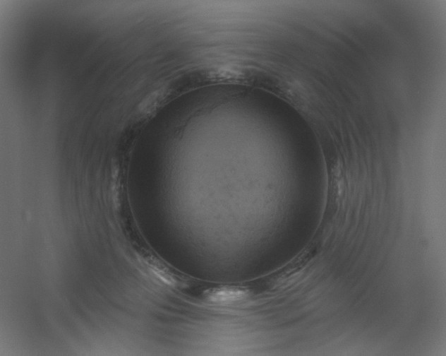 X0000054360223200508121522